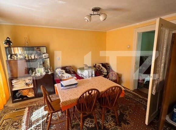 Casa de vânzare 2 camere Ferneziu - 190629CV | BLITZ Baia Mare | Poza7