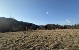 Teren intravilan, 25 ari, zona Firiza