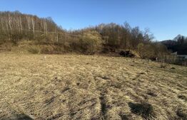 Teren intravilan, 25 ari, zona Firiza