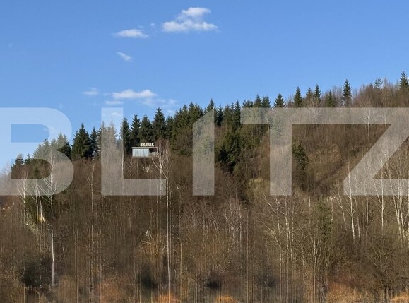 Teren de vânzare Firiza - 190630TV | BLITZ Baia Mare | Poza1