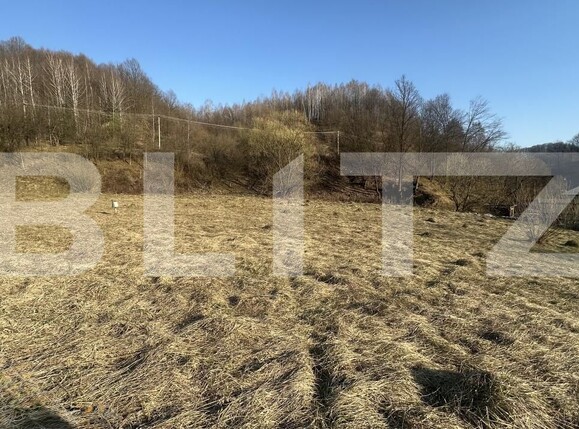 Teren de vânzare Firiza - 190630TV | BLITZ Baia Mare | Poza3