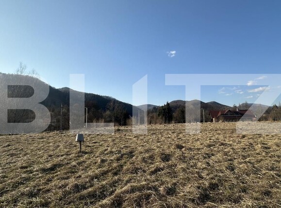 Teren de vânzare Firiza - 190630TV | BLITZ Baia Mare | Poza2