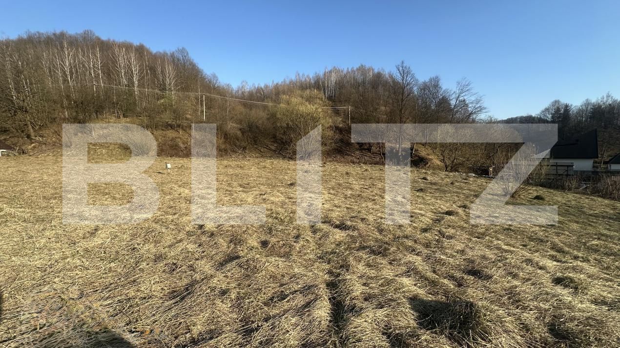 Teren de vânzare Firiza - 190630TV | BLITZ Baia Mare | Poza3