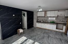 Case aceeași curte– 85 mp utili, zona Valea Borcutului 