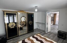 Case aceeași curte– 85 mp utili, zona Valea Borcutului 