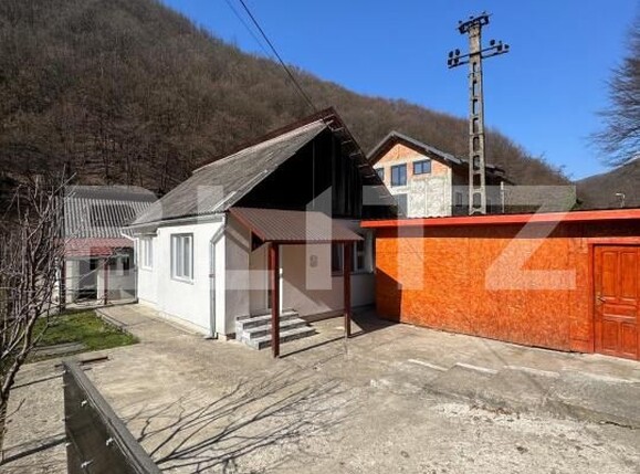 Casa de vânzare 3 camere Valea Borcutului - 190631CV | BLITZ Baia Mare | Poza1