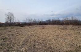 Teren intravilan 10.000 mp plan | Utilități în apropiere | La 8 min de Baia Mare