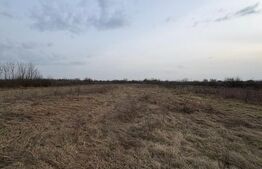 Teren intravilan 10.000 mp plan | Utilități în apropiere | La 8 min de Baia Mare