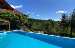 Domeniu exclusivist 17.000 mp | Vilă luxury cu piscină & SPA – Cărbunari