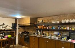 Domeniu exclusivist 17.000 mp | Vilă luxury cu piscină & SPA – Cărbunari