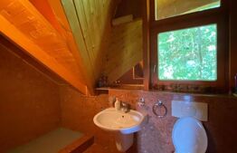 Domeniu exclusivist 17.000 mp | Vilă luxury cu piscină & SPA – Cărbunari