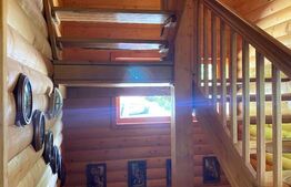 Domeniu exclusivist 17.000 mp | Vilă luxury cu piscină & SPA – Cărbunari