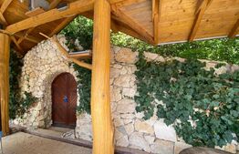 Domeniu exclusivist 17.000 mp | Vilă luxury cu piscină & SPA – Cărbunari