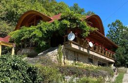 Domeniu exclusivist 17.000 mp | Vilă luxury cu piscină & SPA – Cărbunari