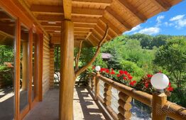 Domeniu exclusivist 17.000 mp | Vilă luxury cu piscină & SPA – Cărbunari