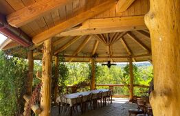 Domeniu exclusivist 17.000 mp | Vilă luxury cu piscină & SPA – Cărbunari