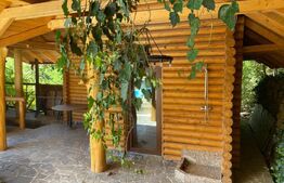 Domeniu exclusivist 17.000 mp | Vilă luxury cu piscină & SPA – Cărbunari