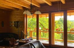 Domeniu exclusivist 17.000 mp | Vilă luxury cu piscină & SPA – Cărbunari