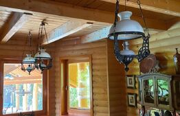 Domeniu exclusivist 17.000 mp | Vilă luxury cu piscină & SPA – Cărbunari