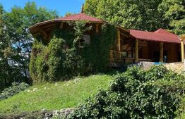 Domeniu exclusivist 17.000 mp | Vilă luxury cu piscină & SPA – Cărbunari