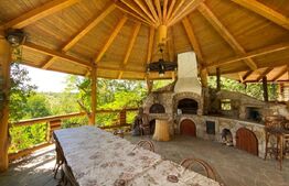 Domeniu exclusivist 17.000 mp | Vilă luxury cu piscină & SPA – Cărbunari