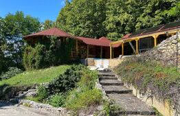 Domeniu exclusivist 17.000 mp | Vilă luxury cu piscină & SPA – Cărbunari