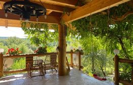 Domeniu exclusivist 17.000 mp | Vilă luxury cu piscină & SPA – Cărbunari