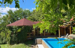 Domeniu exclusivist 17.000 mp | Vilă luxury cu piscină & SPA – Cărbunari