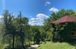 Domeniu exclusivist 17.000 mp | Vilă luxury cu piscină & SPA – Cărbunari