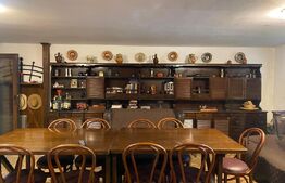 Domeniu exclusivist 17.000 mp | Vilă luxury cu piscină & SPA – Cărbunari