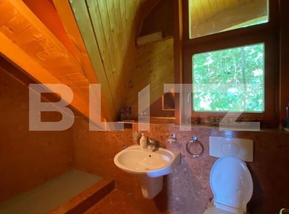 Casa de vânzare 6 camere Carbunari - 190864CV | BLITZ Baia Mare | Poza23