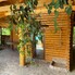 Casa de vânzare 6 camere Carbunari - 190864CV - Poza 1 din 25 | BLITZ Baia Mare | Poza11