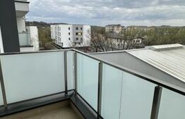 Apartament 2 camere, 45 mp, zona Vasile Alecsandri