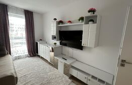 Apartament 2 camere, 45 mp, zona Vasile Alecsandri