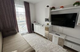 Apartament 2 camere, 45 mp, zona Vasile Alecsandri