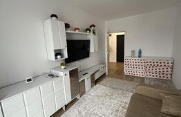 Apartament 2 camere, 45 mp, zona Vasile Alecsandri