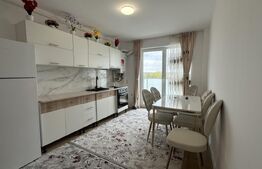 Apartament 2 camere, 45 mp, zona Vasile Alecsandri
