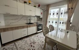 Apartament 2 camere, 45 mp, zona Vasile Alecsandri