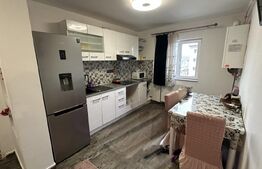 Apartament 2 balcoane, 49 mp, zona Sud