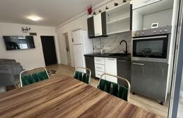 Apartament 2 camere, 41 mp, zona Vasile Alecsandri 