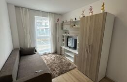 Apartament 2 camere, 41 mp, zona Vasile Alecsandri 