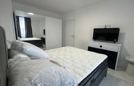 Apartament 2 camere, 43 mp, zona Central 