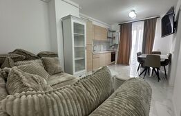 Apartament 2 camere, 43 mp, zona Central 