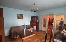 Casă 3 camere + 40 ari teren, zonă centrală Târgu Lăpuș