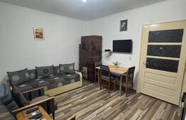 Casă 3 camere + 40 ari teren, zonă centrală Târgu Lăpuș
