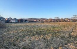 Casă cu suflet și 40 ari teren, panoramă superbă, complet utilată