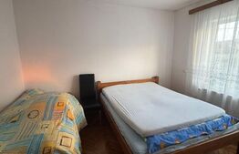 Casă 3 camere + 40 ari teren, zonă centrală Târgu Lăpuș