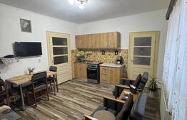 Casă 3 camere + 40 ari teren, zonă centrală Târgu Lăpuș