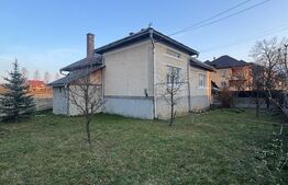 Casă 3 camere + 40 ari teren, zonă centrală Târgu Lăpuș