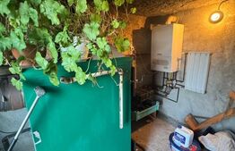 Casă cu suflet și 40 ari teren, panoramă superbă, complet utilată